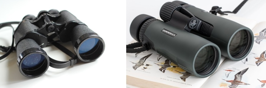 Best Binoculars for Birding